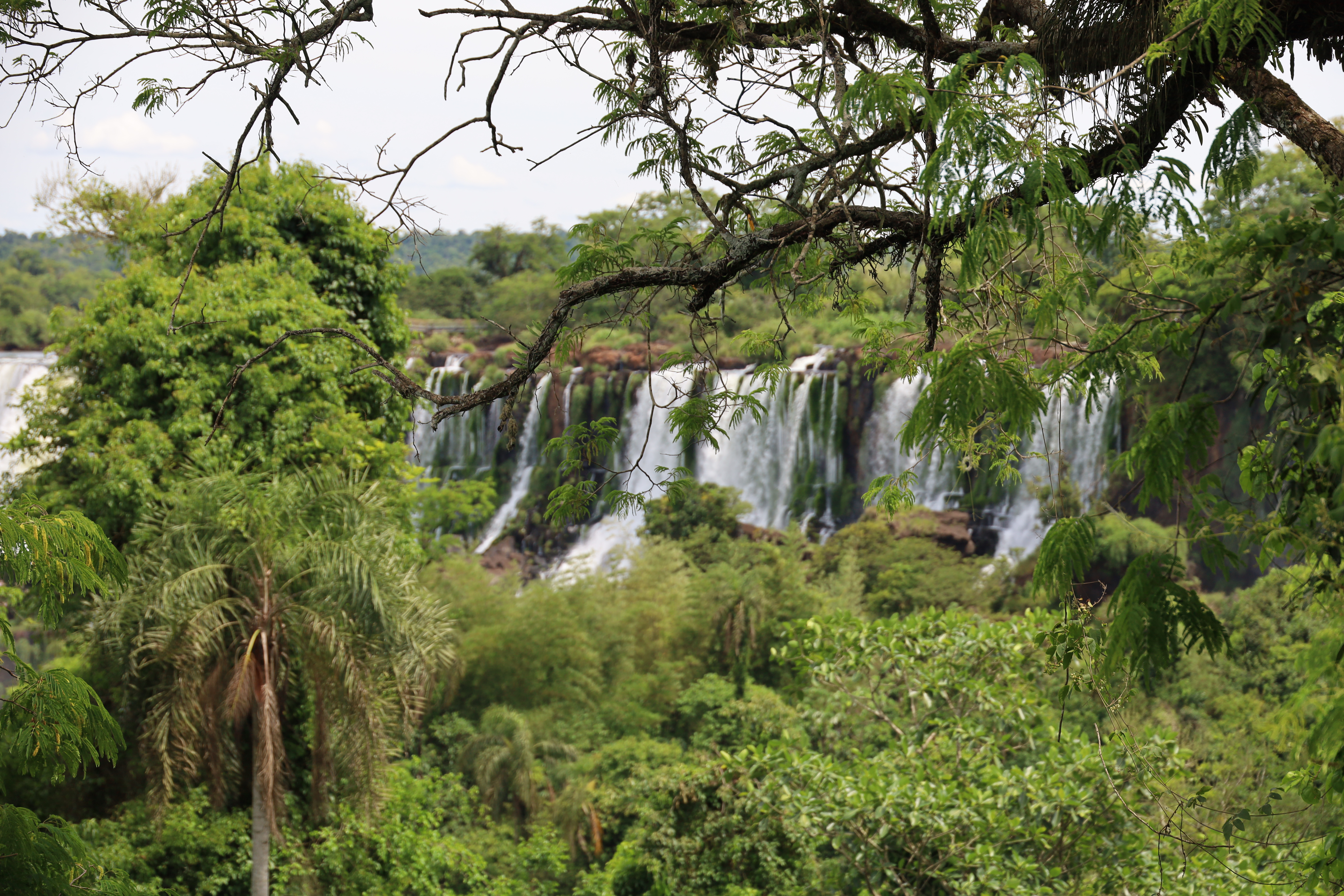 Iguazu Falls