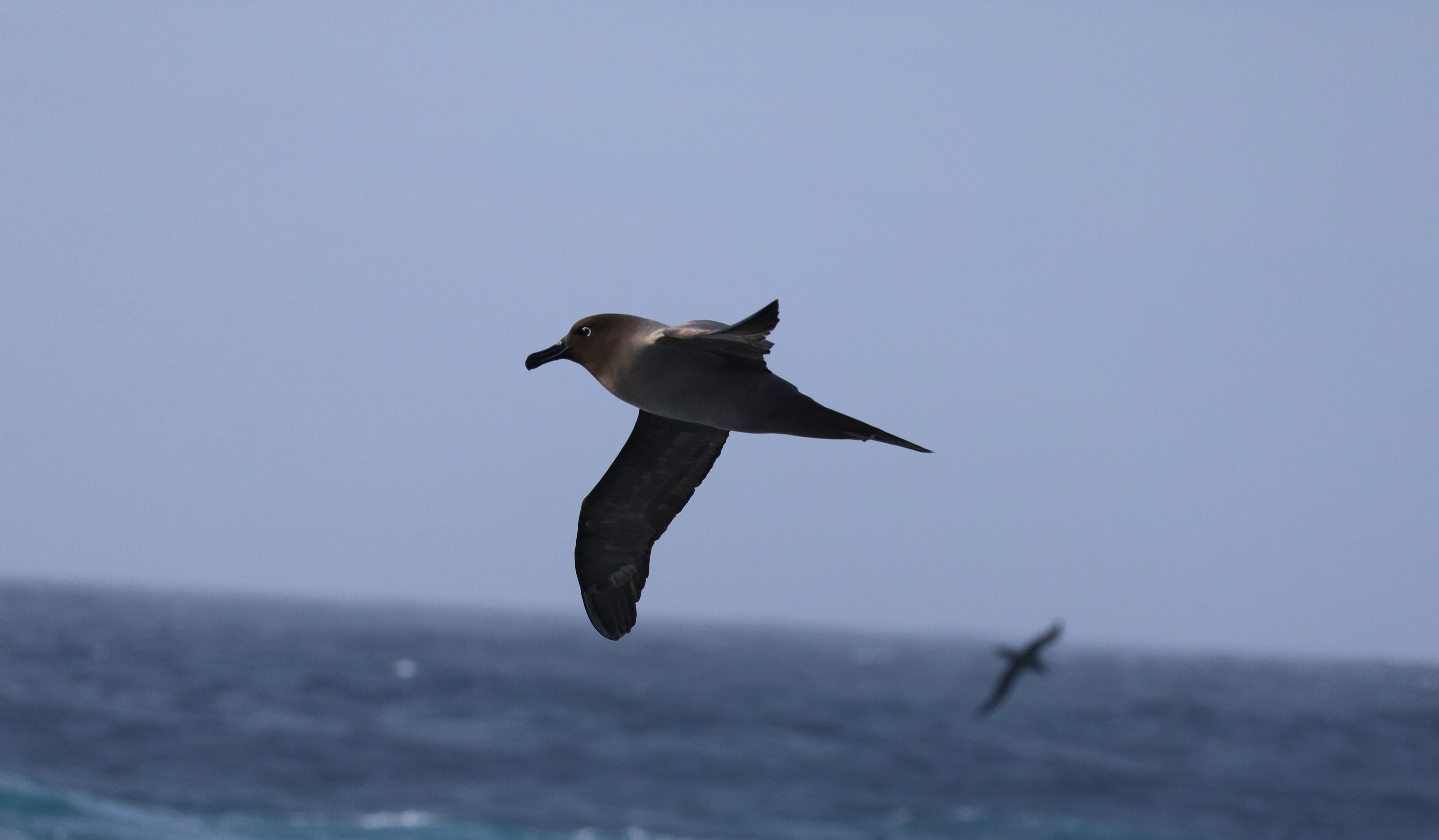 Drake Passage