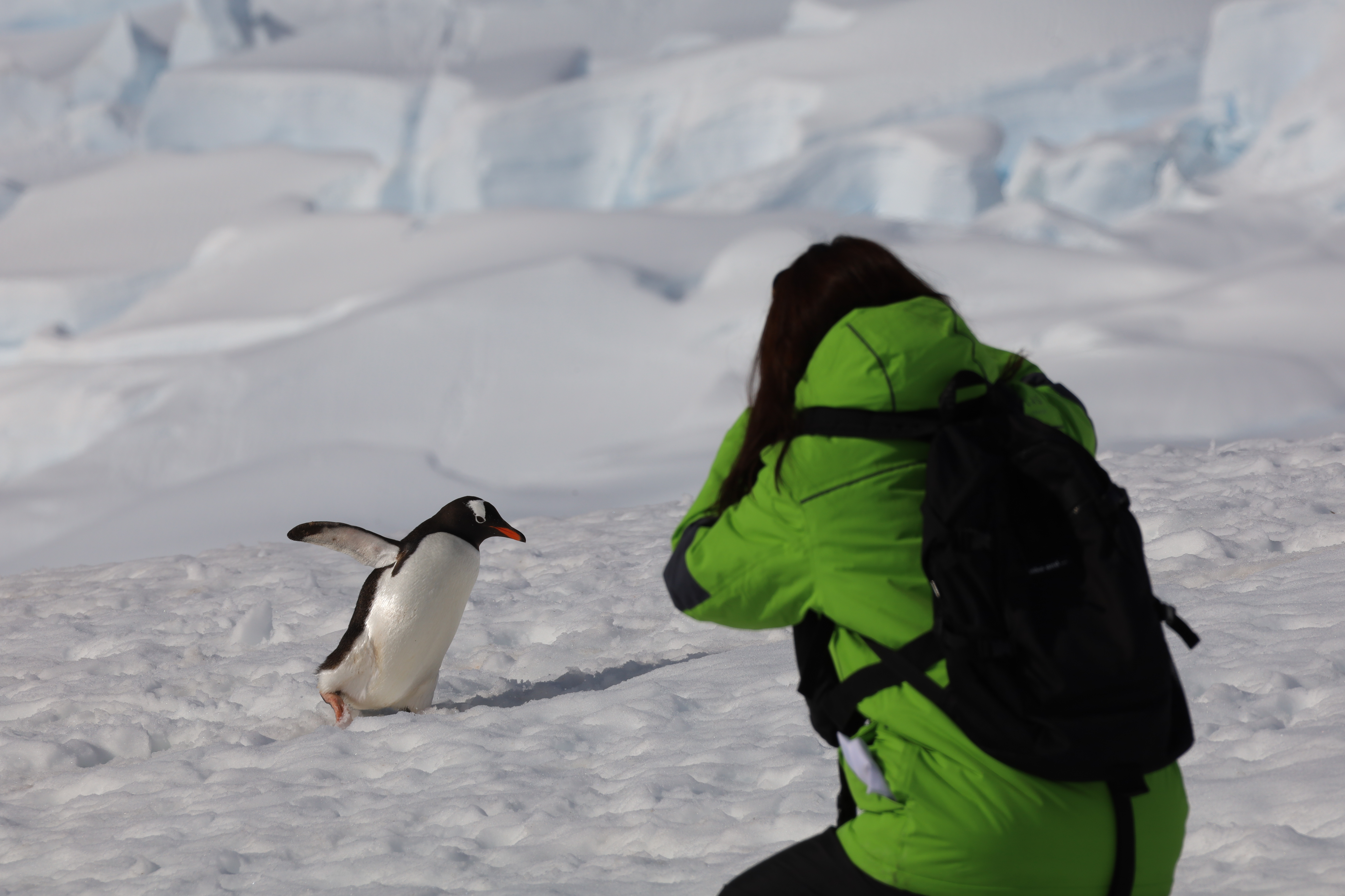 Antarctica